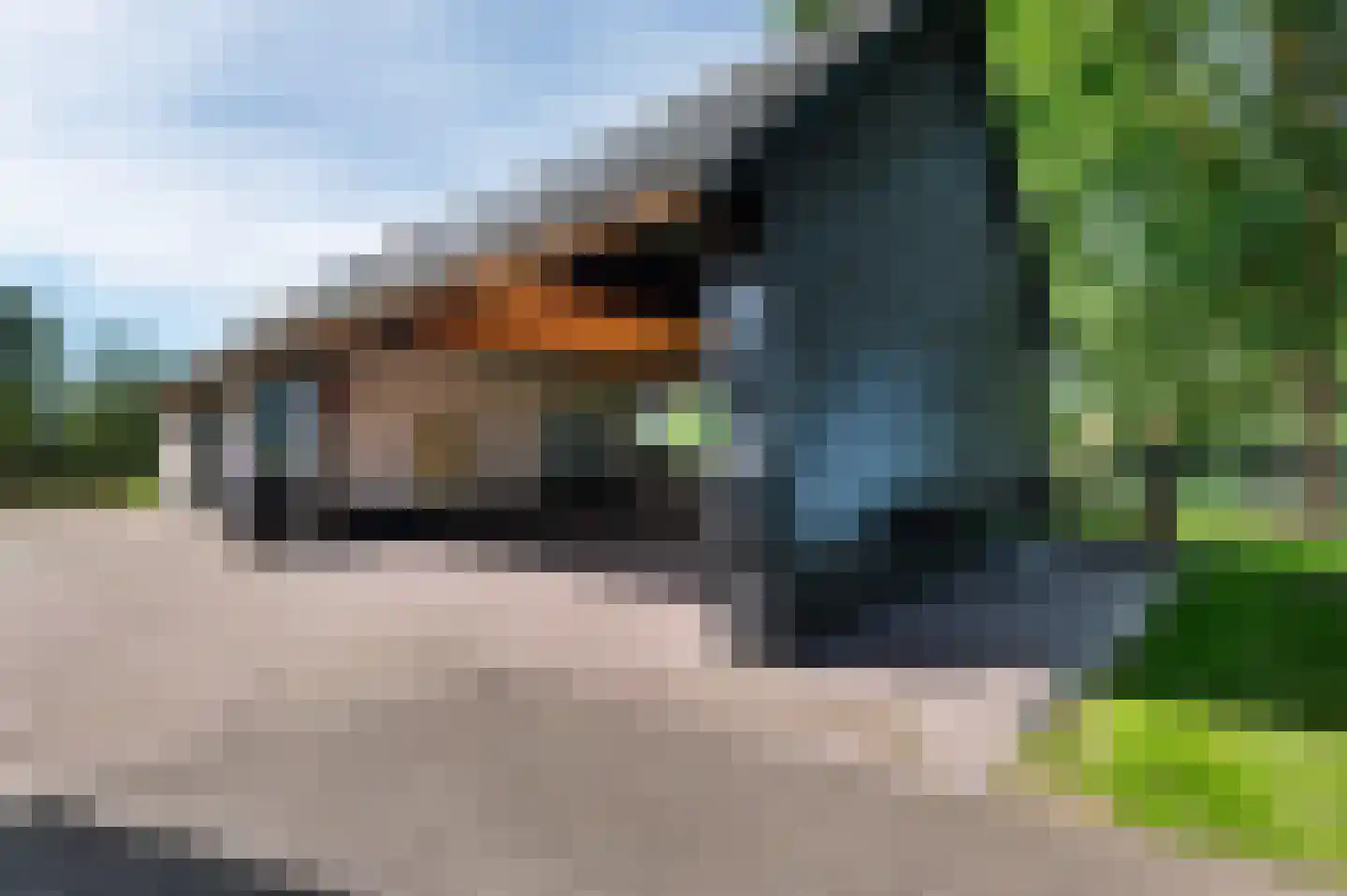 Gorsselseweg 33 Bathmen thumbnail 43