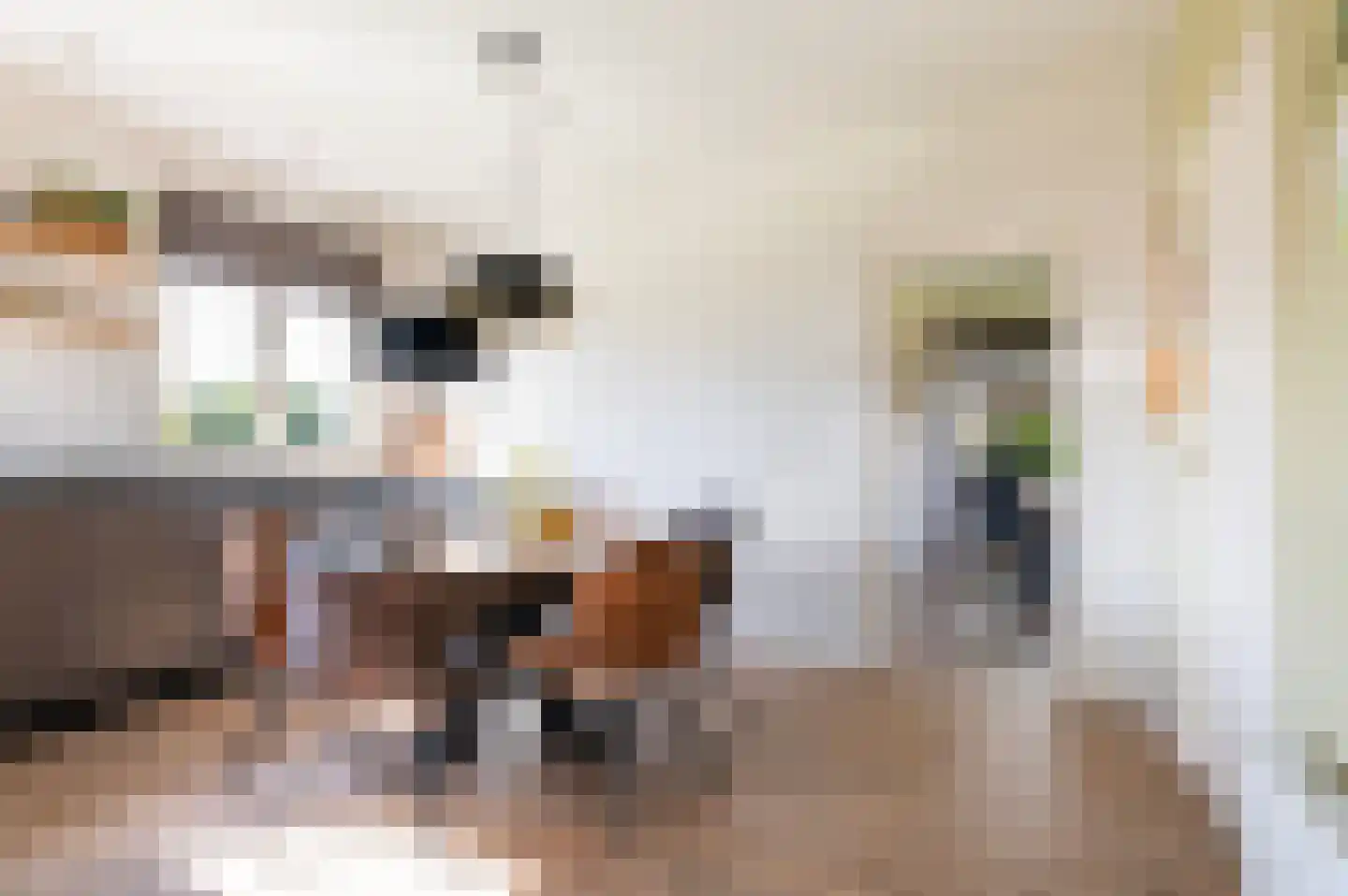 Gorsselseweg 33 Bathmen thumbnail 9