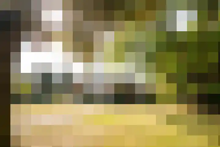 Gorsselseweg 4 Bathmen thumbnail 25