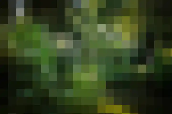 Gorsselseweg 4 Bathmen thumbnail 27