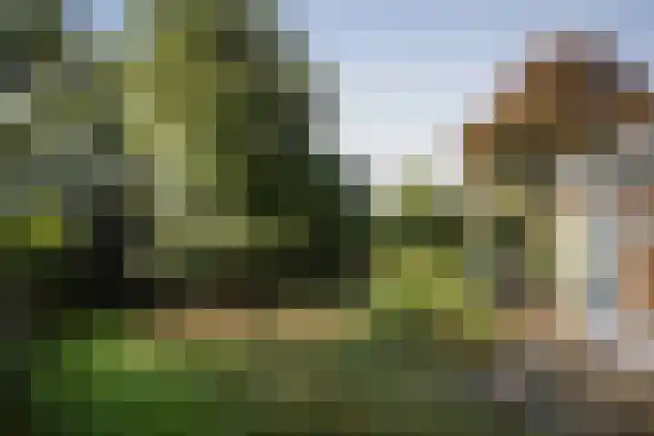 Gorsselseweg 4 Bathmen thumbnail 29