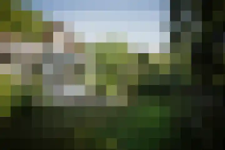 Gorsselseweg 4 Bathmen thumbnail 31