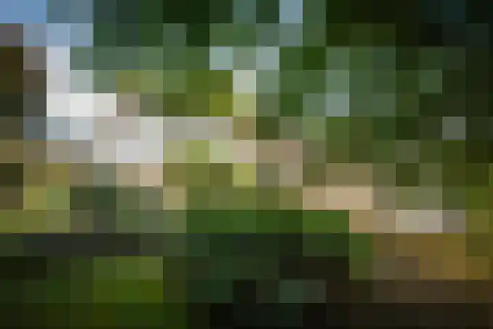 Gorsselseweg 4 Bathmen thumbnail 32