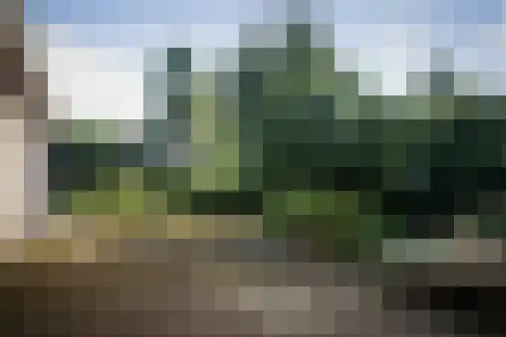 Gorsselseweg 4 Bathmen thumbnail 34