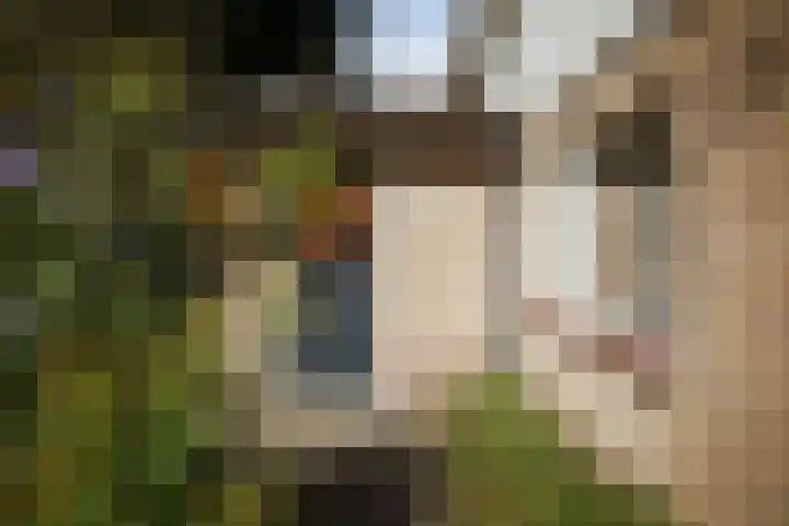 Gorsselseweg 4 Bathmen thumbnail 35