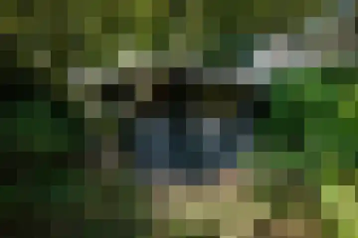 Gorsselseweg 4 Bathmen thumbnail 36