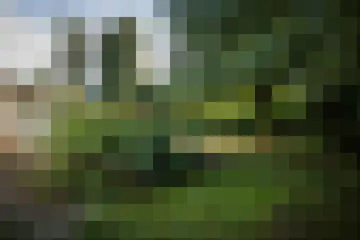 Gorsselseweg 4 Bathmen thumbnail 37