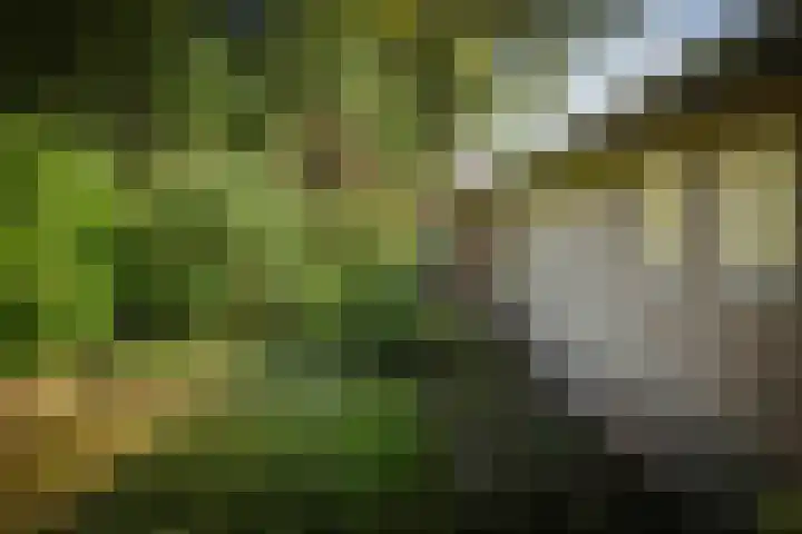 Gorsselseweg 4 Bathmen thumbnail 38