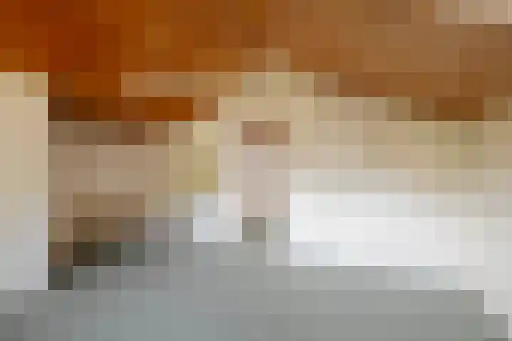 Gorsselseweg 4 Bathmen thumbnail 43