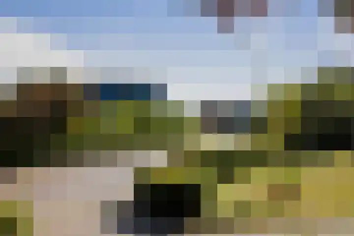 Gorsselseweg 4 Bathmen thumbnail 46