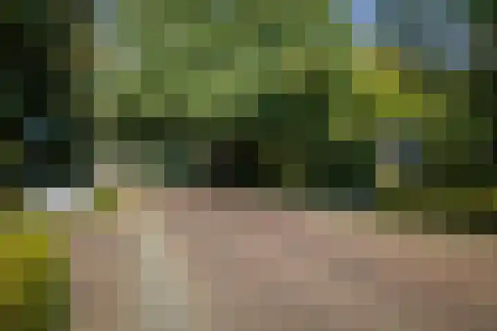 Gorsselseweg 4 Bathmen thumbnail 47