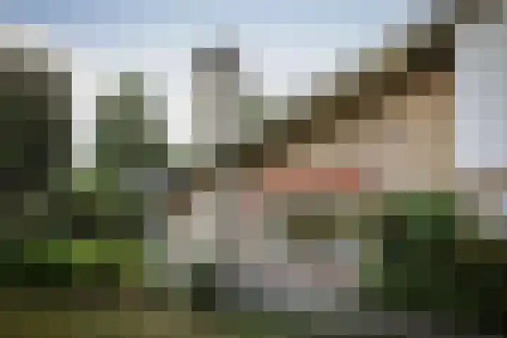 Gorsselseweg 4 Bathmen thumbnail 5