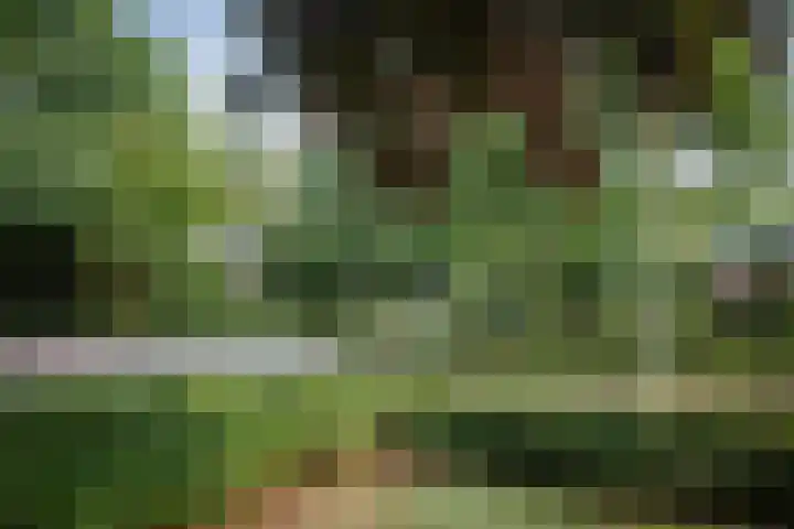 Gorsselseweg 4 Bathmen thumbnail 6