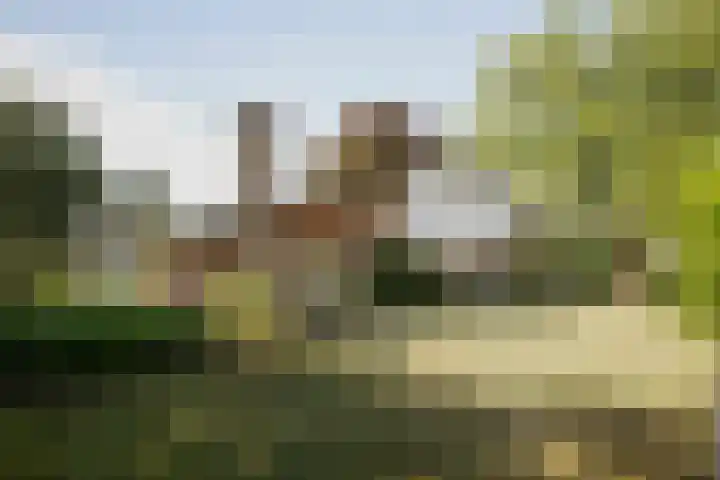 Gorsselseweg 4 Bathmen thumbnail 7