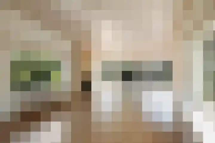 Gorsselseweg 4 Bathmen thumbnail 9
