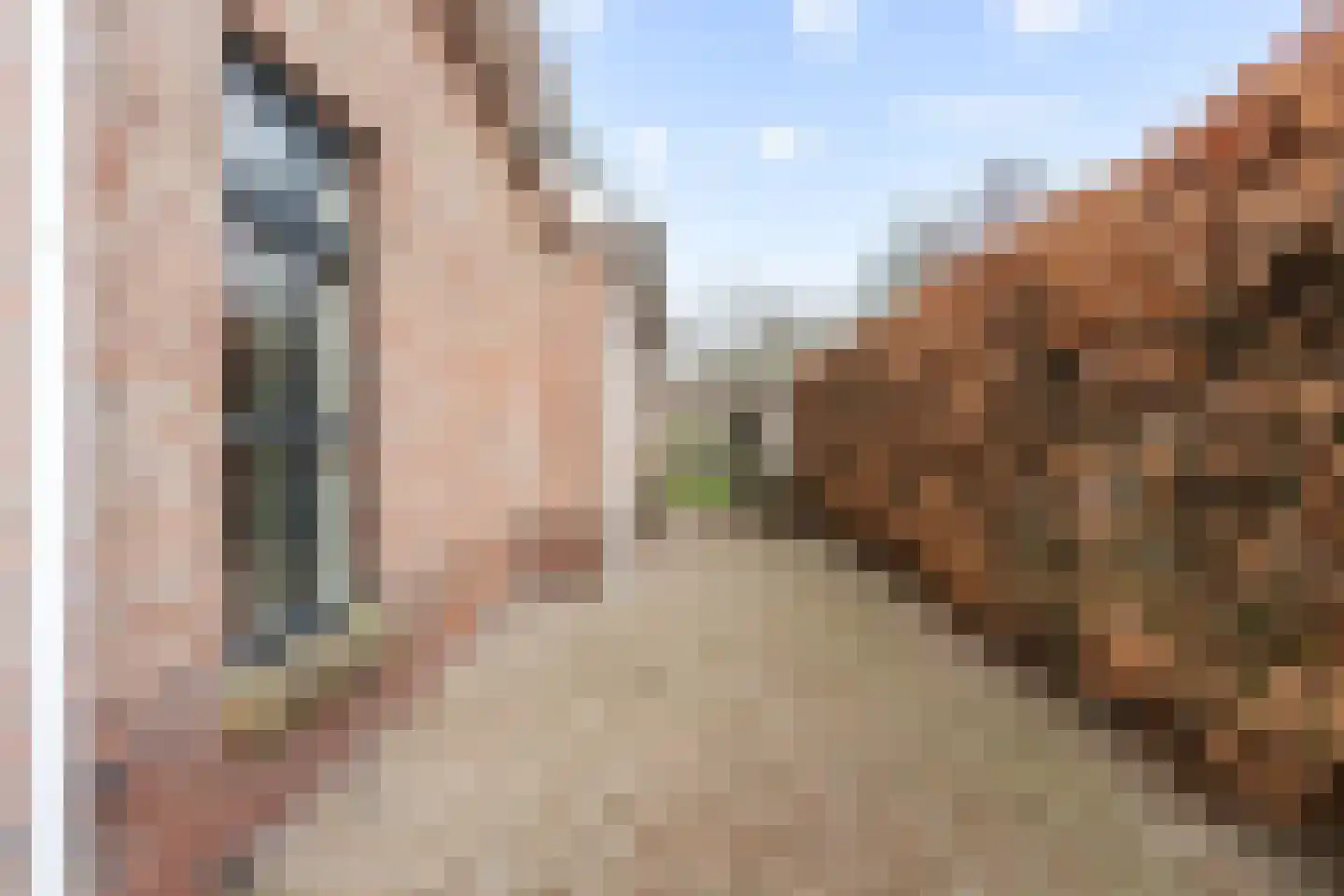 Gorsselseweg 5 Bathmen thumbnail 11