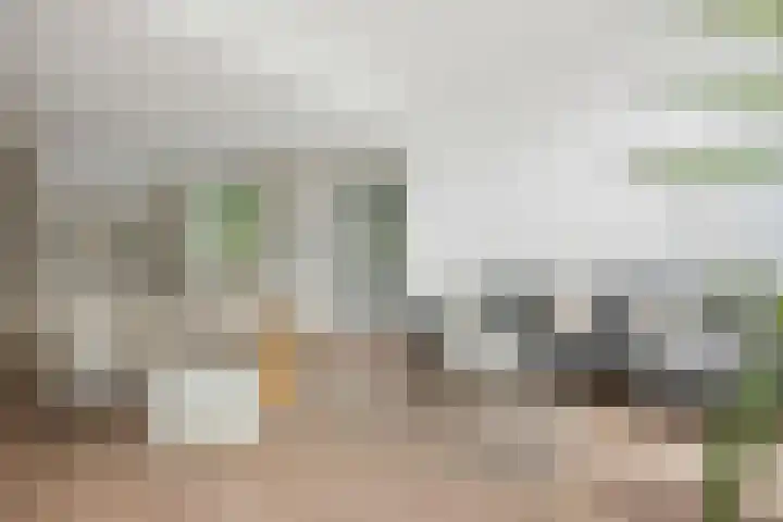 Gorsselseweg 5 Bathmen thumbnail 11