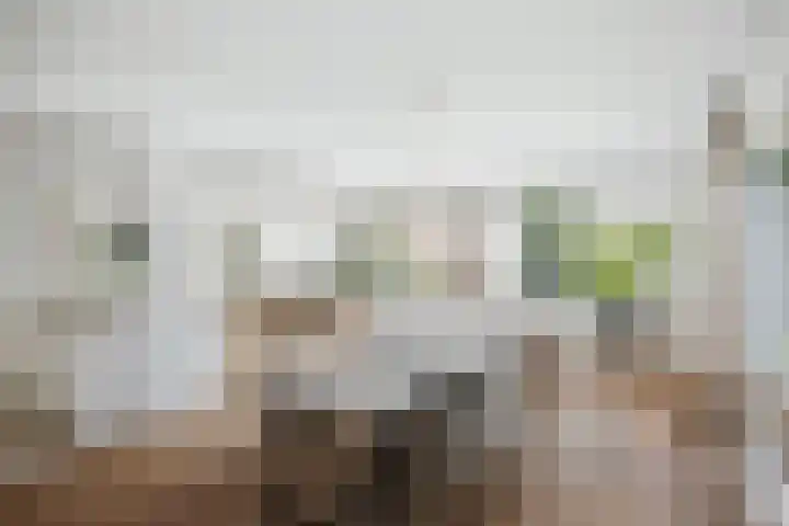 Gorsselseweg 5 Bathmen thumbnail 12