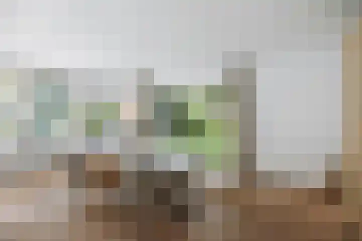 Gorsselseweg 5 Bathmen thumbnail 16