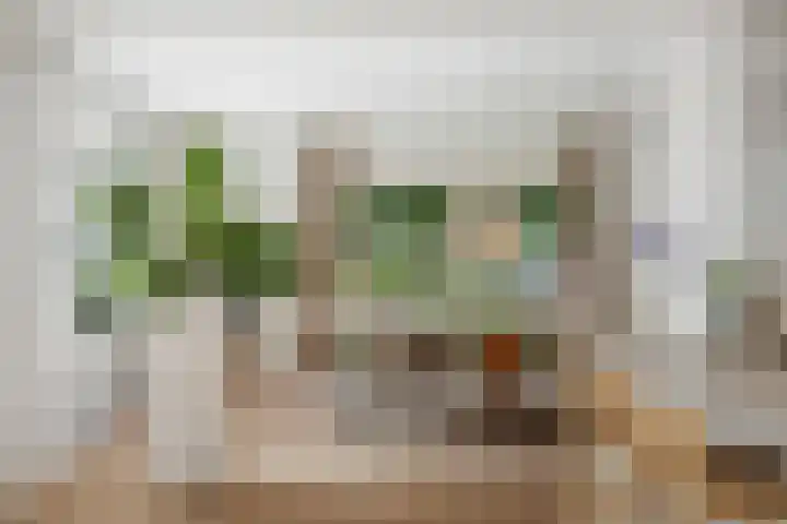 Gorsselseweg 5 Bathmen thumbnail 17