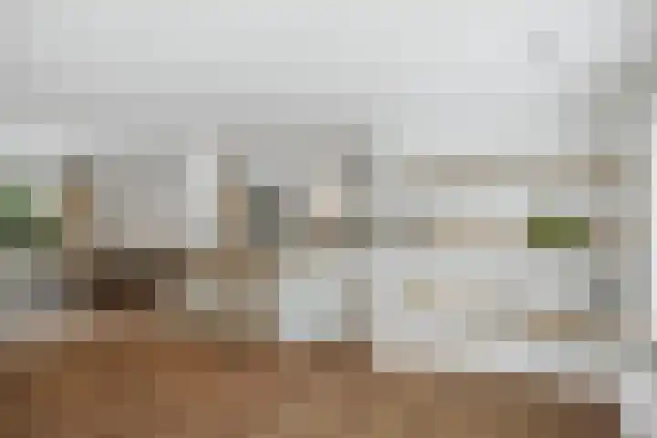 Gorsselseweg 5 Bathmen thumbnail 19