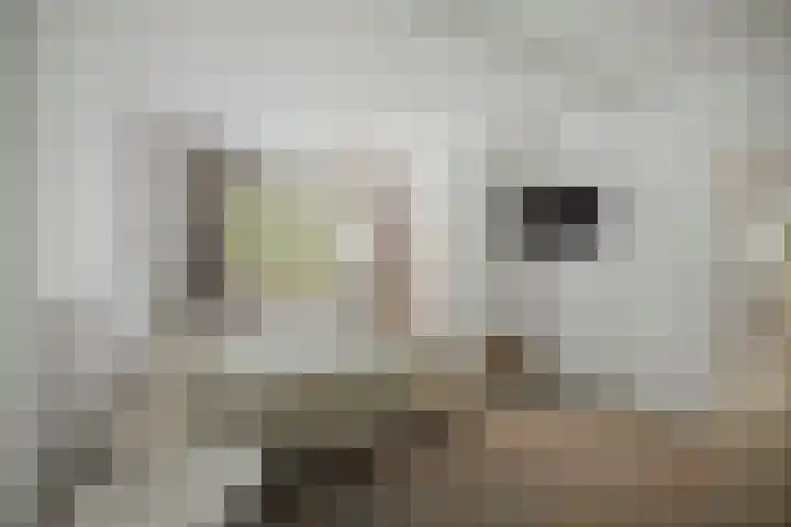 Gorsselseweg 5 Bathmen thumbnail 21