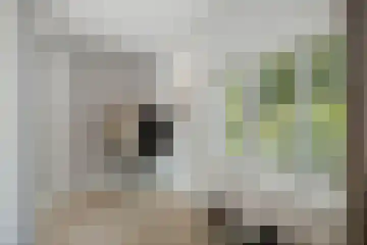 Gorsselseweg 5 Bathmen thumbnail 22