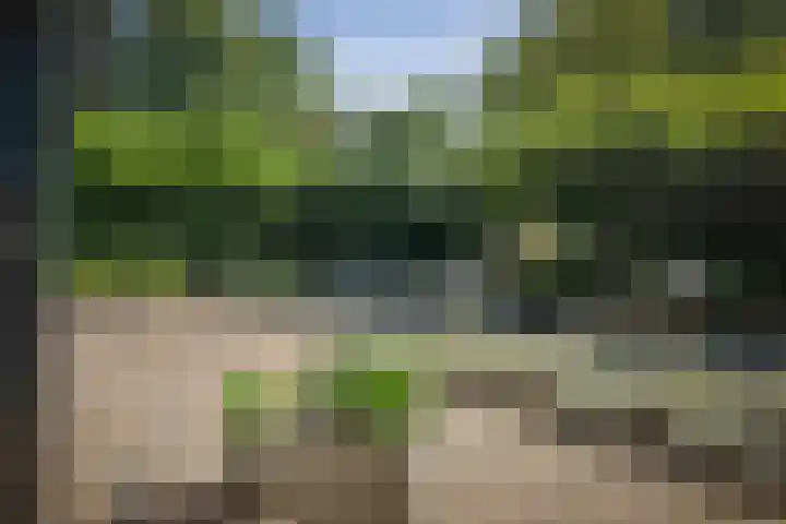 Gorsselseweg 5 Bathmen thumbnail 37