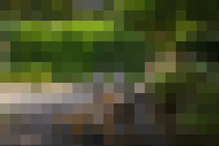 Gorsselseweg 5 Bathmen thumbnail 38