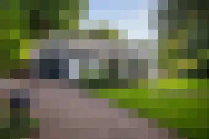 Gorsselseweg 5 Bathmen thumbnail 4