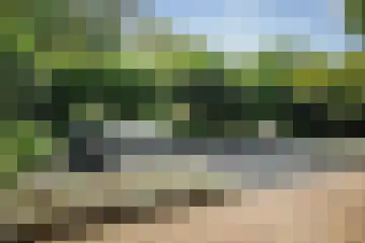 Gorsselseweg 5 Bathmen thumbnail 40