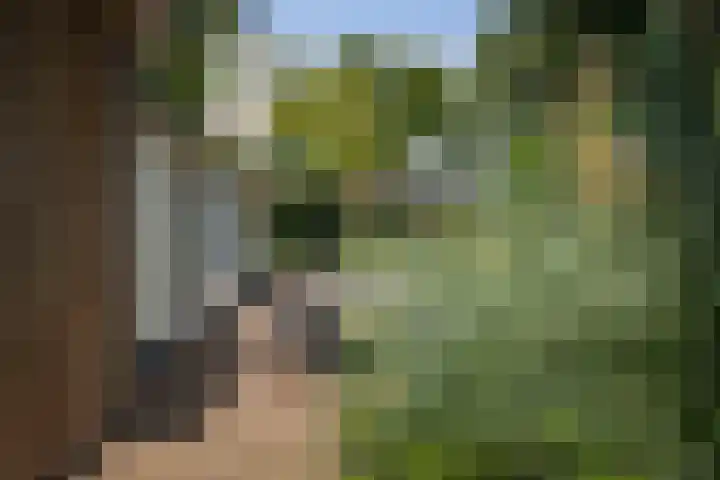 Gorsselseweg 5 Bathmen thumbnail 41