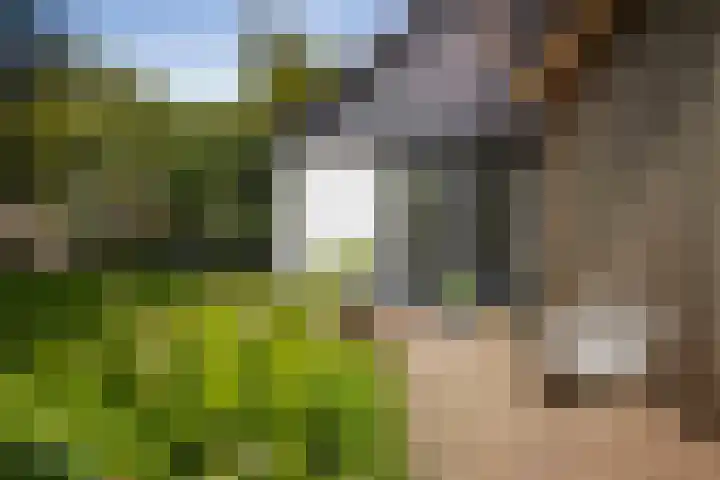 Gorsselseweg 5 Bathmen thumbnail 42