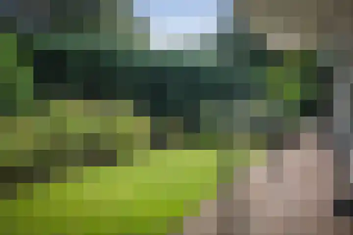 Gorsselseweg 5 Bathmen thumbnail 43