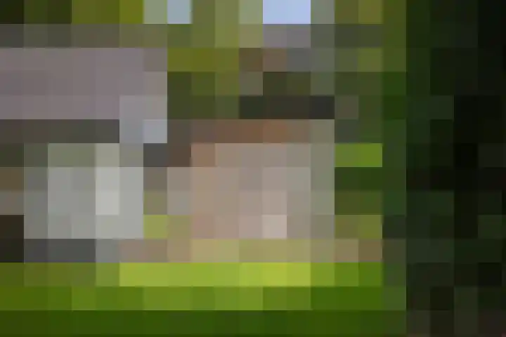 Gorsselseweg 5 Bathmen thumbnail 46