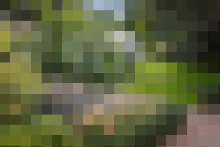 Gorsselseweg 5 Bathmen thumbnail 49
