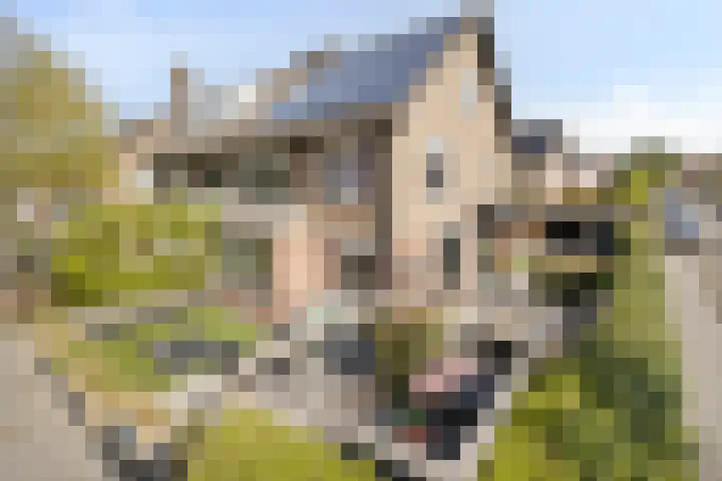 Gorsselseweg 5 Bathmen thumbnail 5