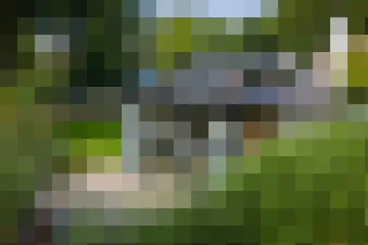 Gorsselseweg 5 Bathmen thumbnail 5