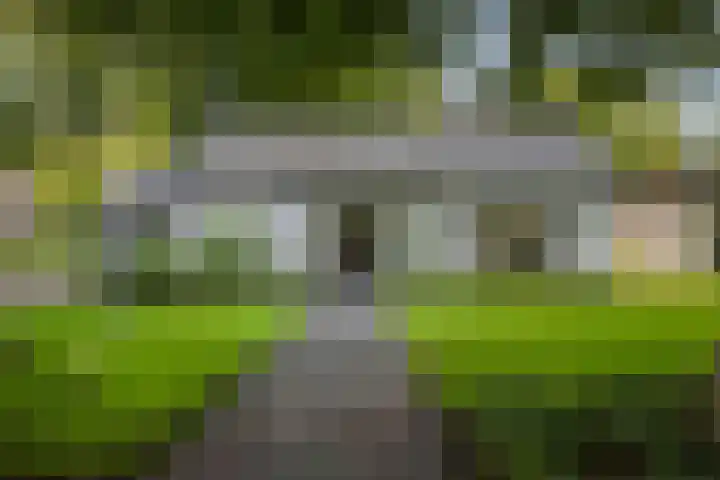 Gorsselseweg 5 Bathmen thumbnail 50