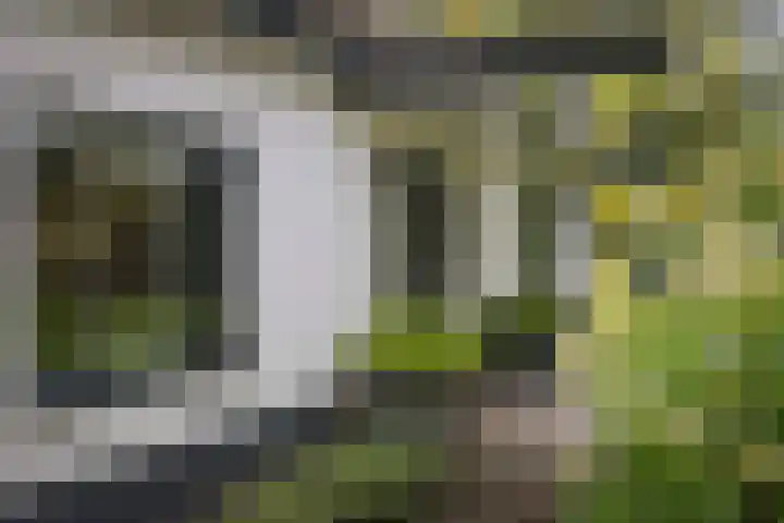 Gorsselseweg 5 Bathmen thumbnail 51
