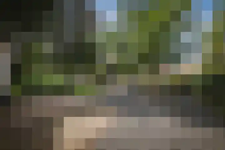 Gorsselseweg 5 Bathmen thumbnail 52