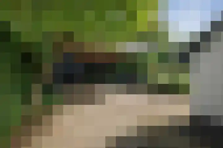 Gorsselseweg 5 Bathmen thumbnail 53
