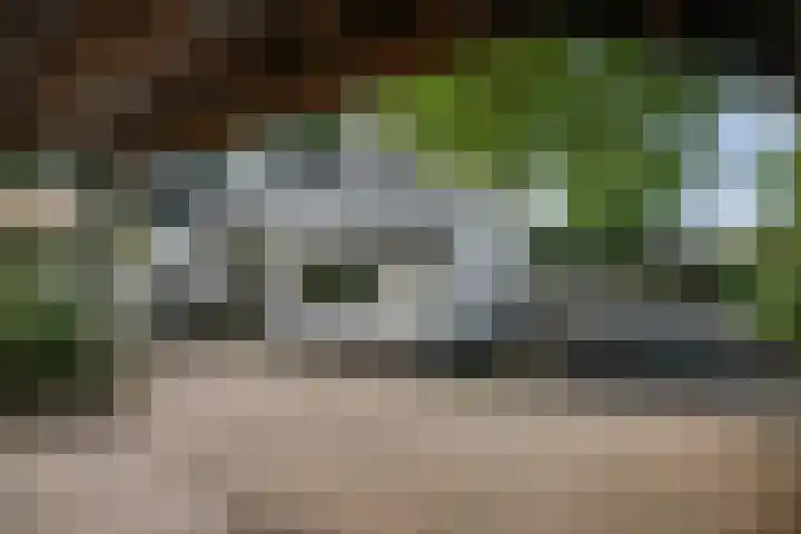 Gorsselseweg 5 Bathmen thumbnail 54