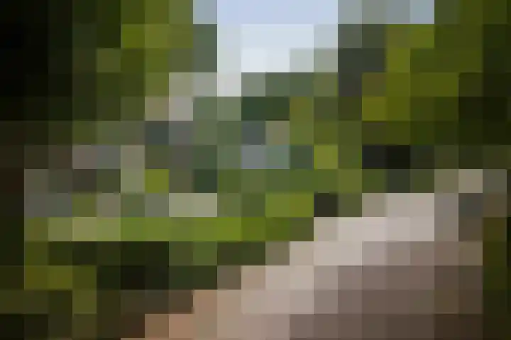 Gorsselseweg 5 Bathmen thumbnail 57