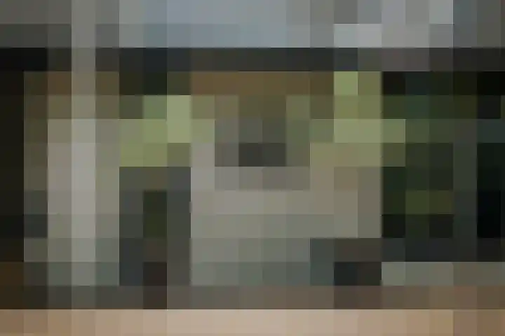 Gorsselseweg 5 Bathmen thumbnail 59