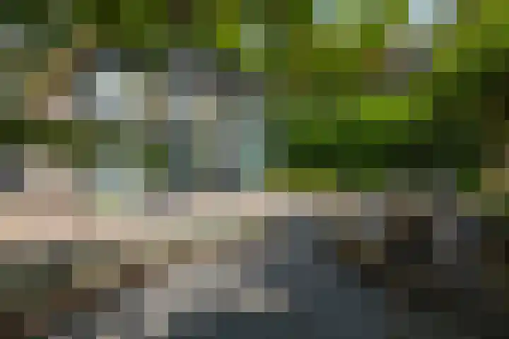 Gorsselseweg 5 Bathmen thumbnail 6