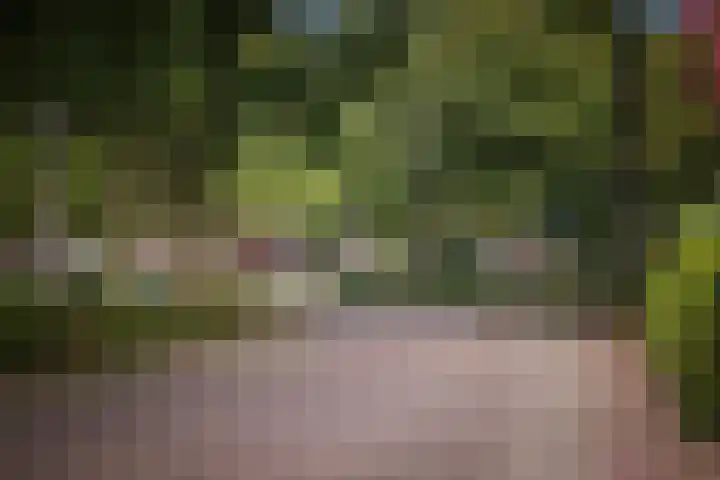 Gorsselseweg 5 Bathmen thumbnail 60