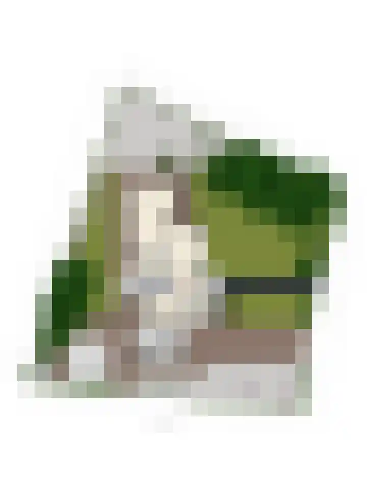 Gorsselseweg 5 Bathmen thumbnail 65