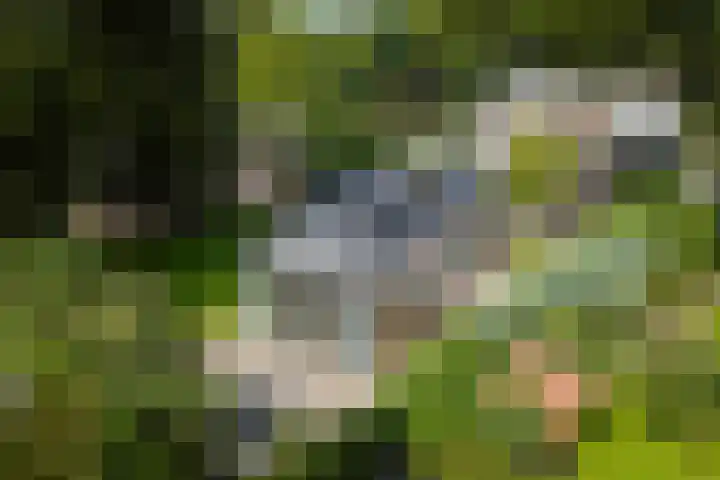 Gorsselseweg 5 Bathmen thumbnail 8