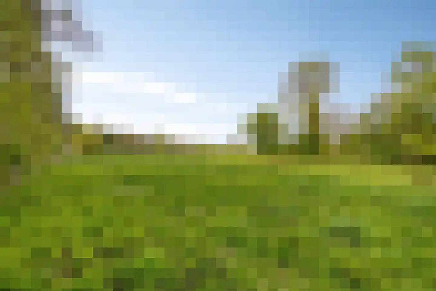 Gorsveldweg 30 Bentelo thumbnail 4